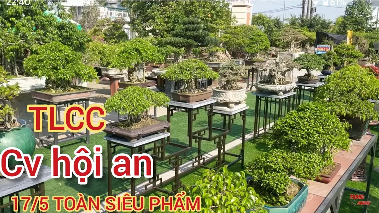 200 siêu phẩm quy tụ tại hội an thanh hóa không xem phí cả đời khai mạc vào ngày mai 17 nhé