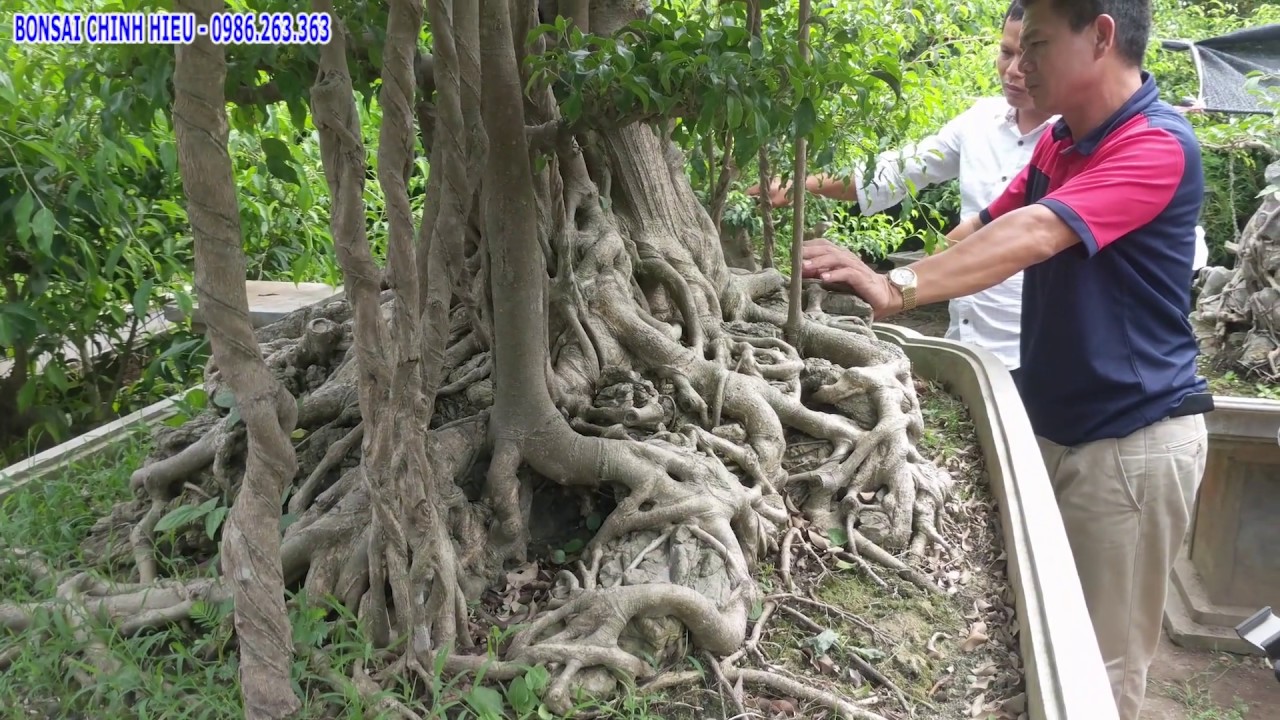 3 Tỷ đôi Long Xé nhà anh Dũng Ninh Bình