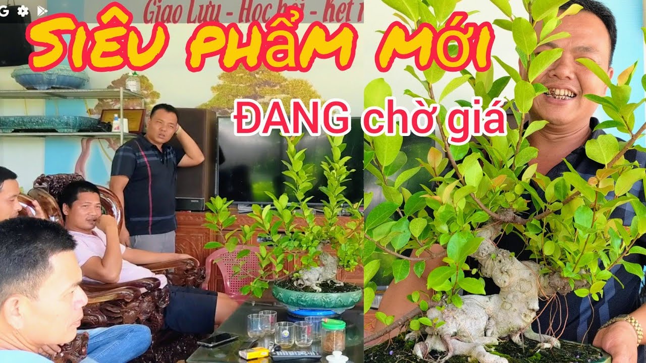 40 TRIỆU TÁC PHẨM MINI QUÁI CỦA ANH EM KHÁNH NHẠC VẪN CHƯA CHO RA ANH EM THAM KHẢO TOÀN HÀNG VIP