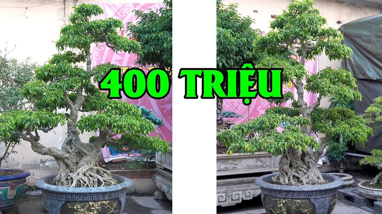 400 triệu có dám rơi tiền mua 3 tác phẩm này về chơi không cả nhà