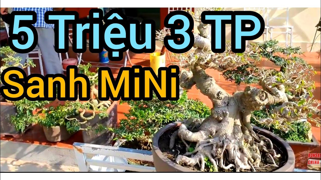 5 triệu 3 tp Sanh mini và rất nhiều tp nhỏ gọn giá cả phải chăng.