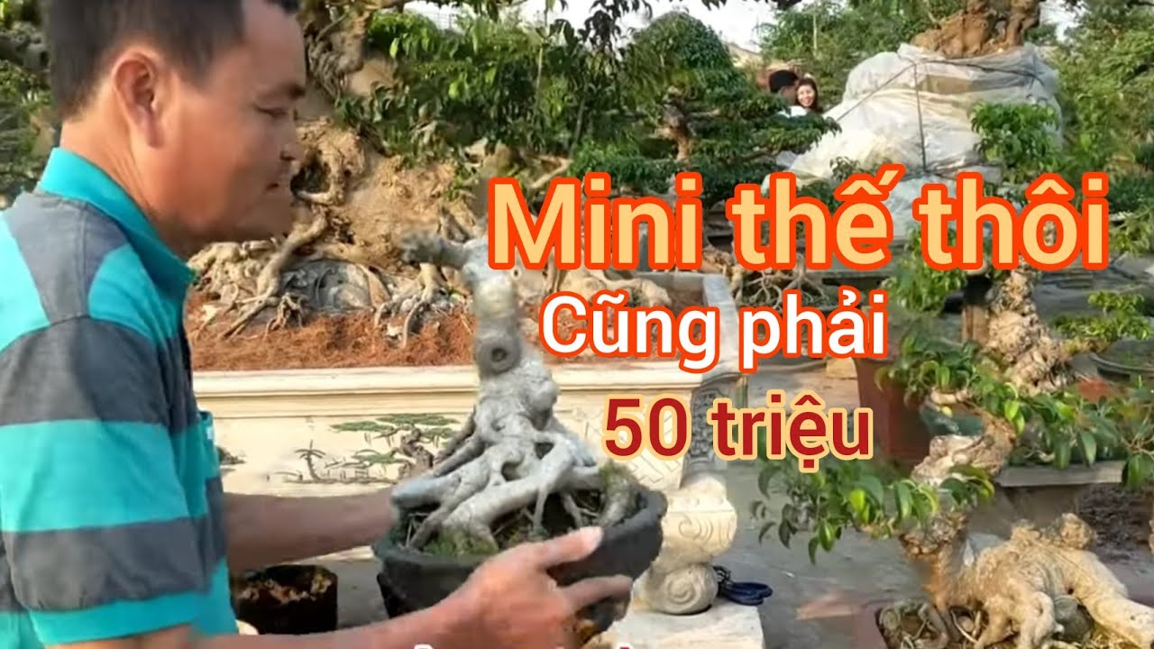 50 triệu hai tác phẩm Mimi Vừa mua đã hội ý cắt xem 2 nghệ nhân giải quyết tác phẩm này nhé