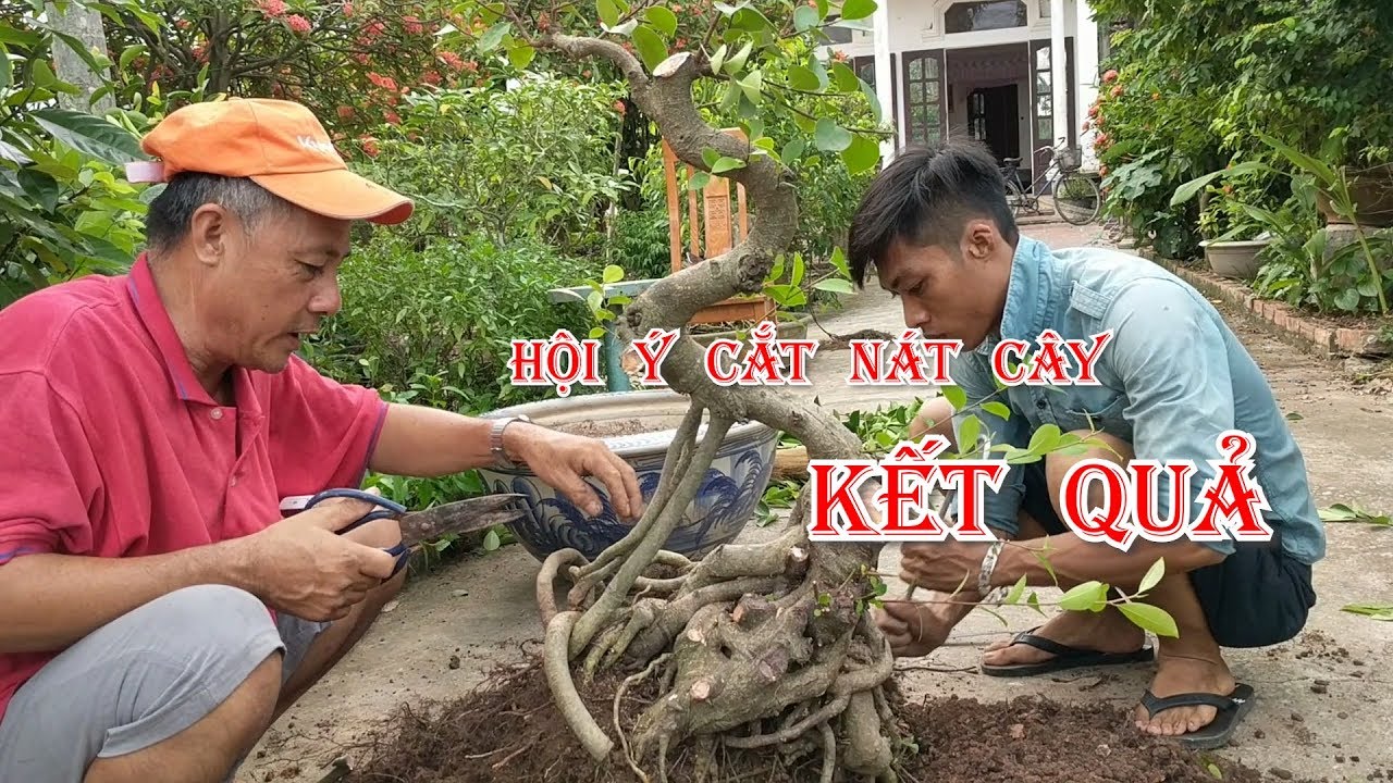 500k tác phẩm hoàn thiên được anh em tư vấn cắt về phôi kết quả được 1 em long giáng