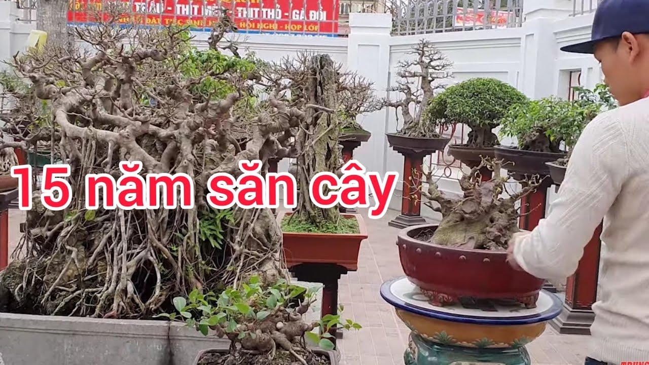 9x sở hữu vườn cây cảnh quý và ngôi nhà Tiền Tỷ  anh em cùng thăm quan nhé