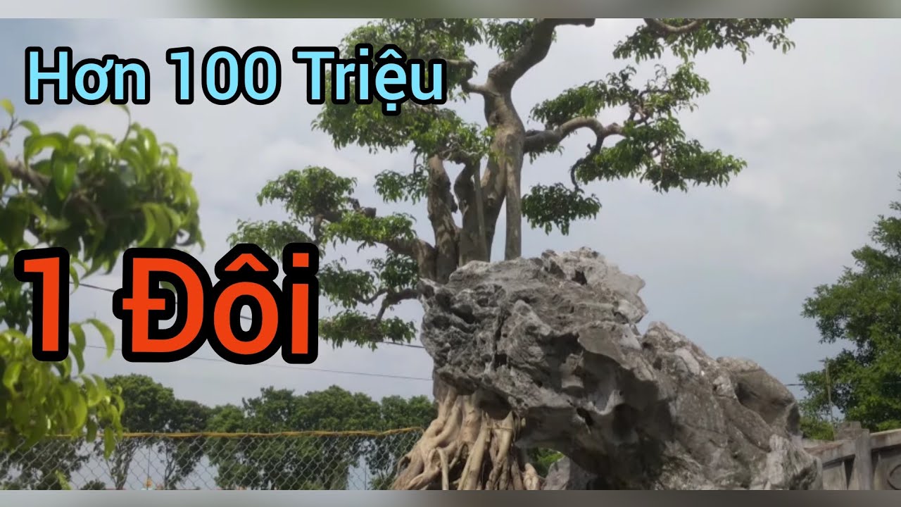 Bác Thành bảo đôi này hơn 100, giá quá rẻ, không biết có rẻ k quý vị.