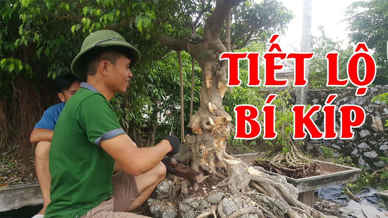 Bí kíp đục cây - The secret of making bonsai