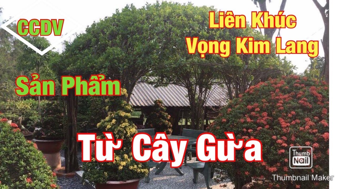 🔴 CCDV # 083: Thiết Kế Và Thi Công Sân Vườn Cảnh Quan ||CCDV.