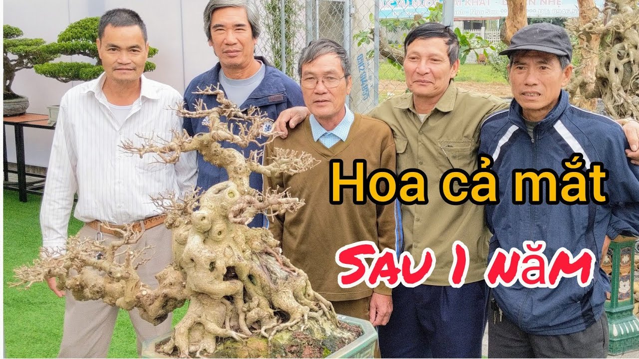 CÓ 100 TRIỆU TÔI CŨNG MUỐN SỞ HỮU 1 VÀI TÁC PHẨM TẠI KHU TRƯNG BÀY KHAI TRƯƠNG NHÀ VƯỜN THỨC BONSAI