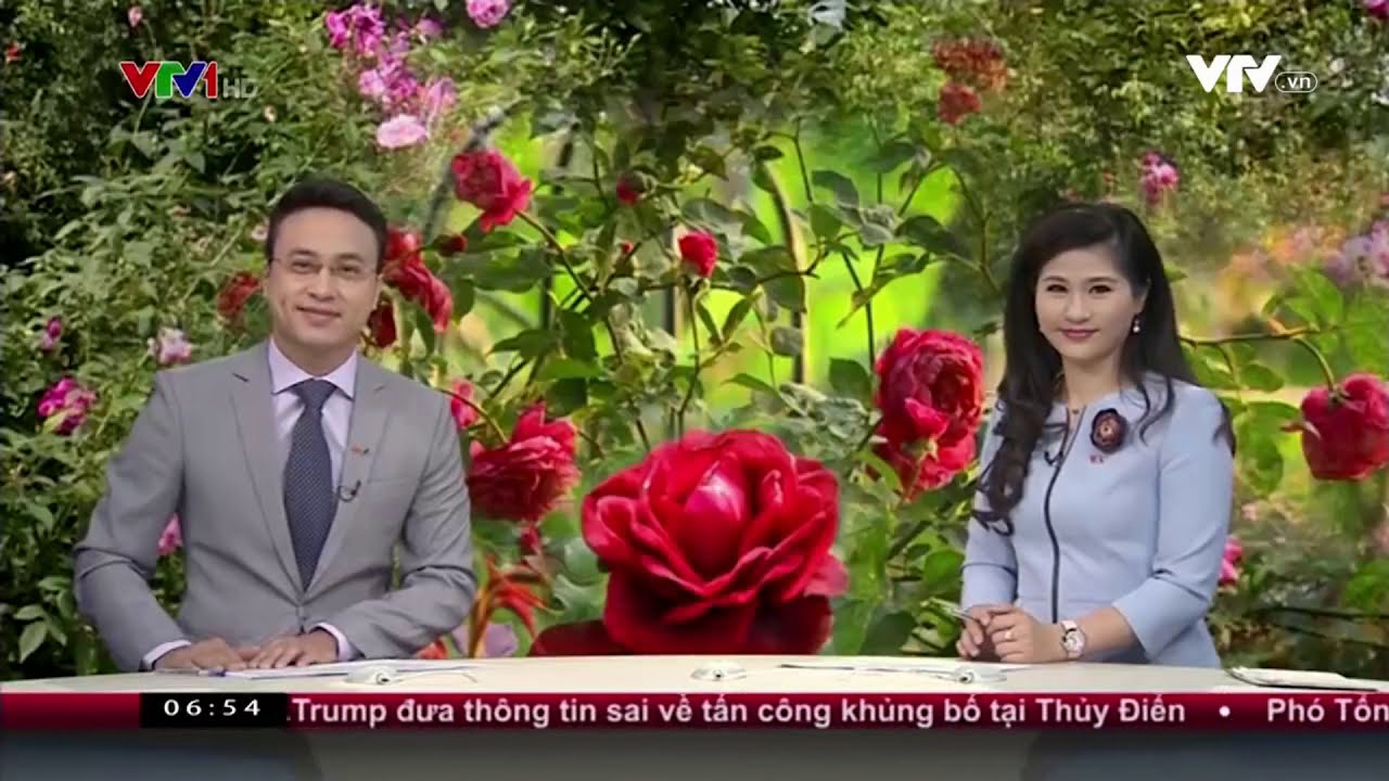 Chào buổi sáng VTV1 - Phạm Thiên Trang và hành trình bảo tồn hoa hồng cổ