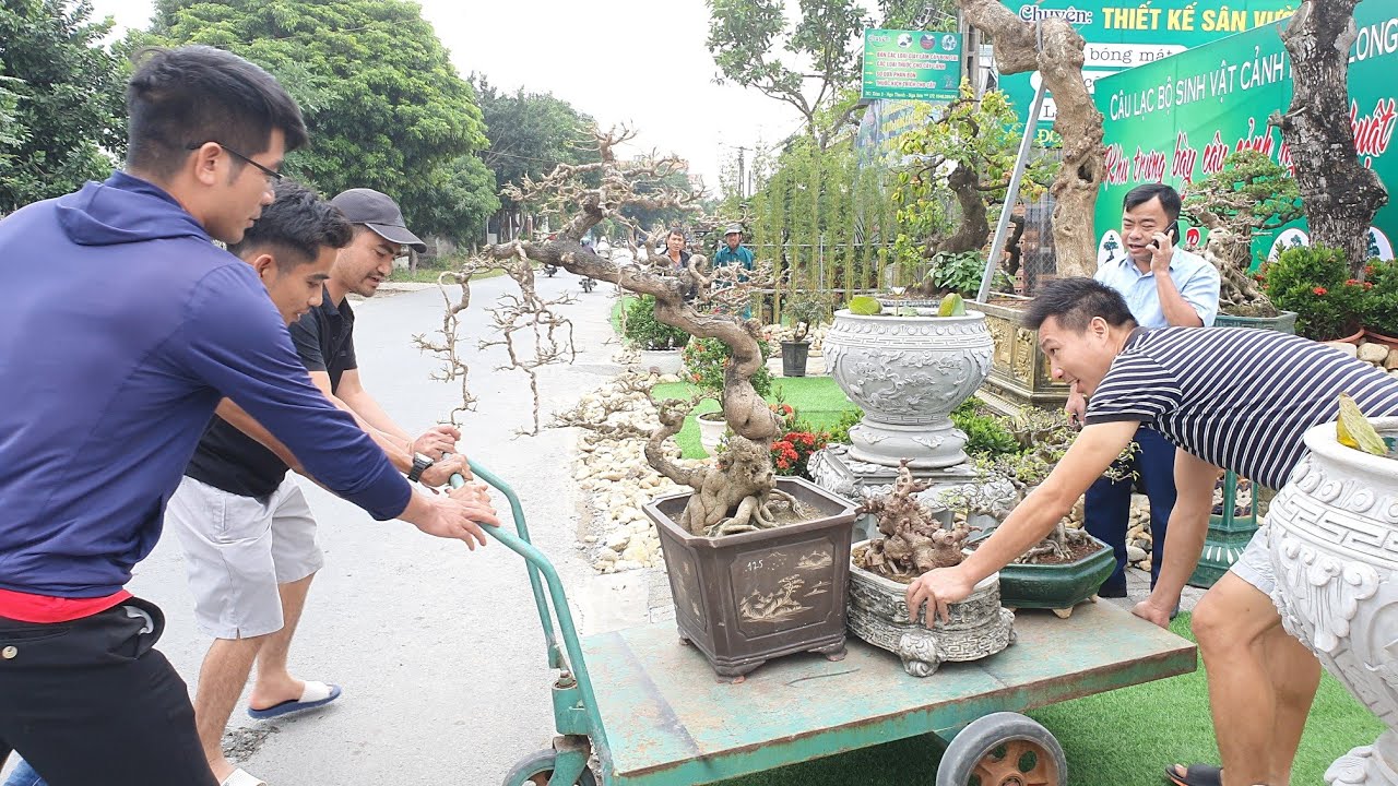 Cường Chọc - Hai Lúa và CLB Dục Thúy Sơn Ninh Bình đã có một số tác phẩm tiêu biểu tới tham dự