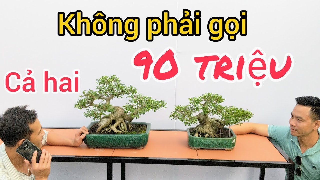 ĐÚNG 90 TRIỆU 2 TÁC PHẨM MINI TẠI KHU TRƯNG BÀY VÀ CHIÊM NGƯỠNG NHỮNG TÁC PHẨM TIÊU BIỂU TẠI NGA SƠN