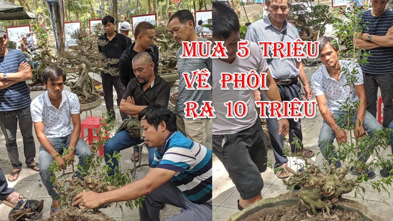 GIAO DỊCH 5 TRIỆU PHÔI ĐIỀN  KHỦNG ĐƯỢC RẤT NHIỀU ANH EM TƯ VẤN CHUYỂN THẾ CẮT ĐỤC NÁT CÂY KẾT QUẢ