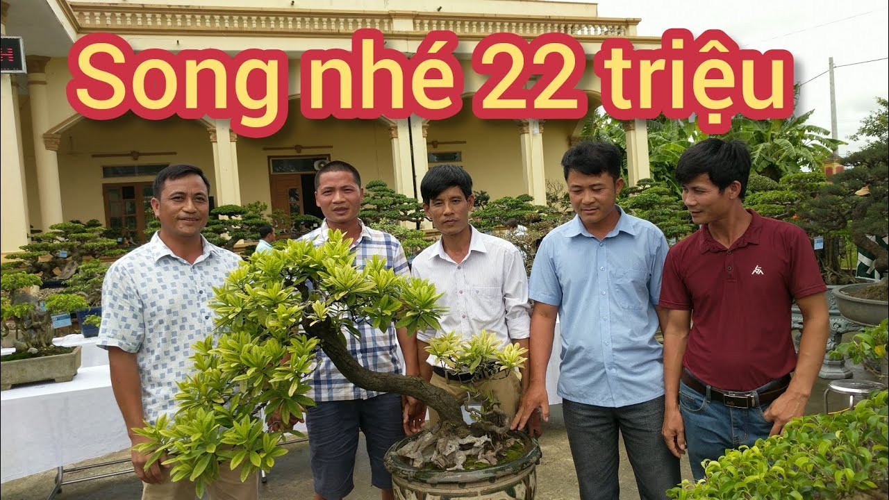 GIAO DỊCH NGAY TẠI TRIỂN LÃM 22 TRIỆU SIÊU PHẨM MẪU ĐƠN RẤT KHÍ THẾ