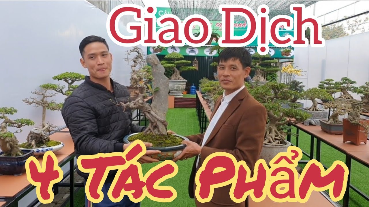 Giao dịch liên tiếp trong những ngày đầu nhận cây tại triển lãm Cây Cảnh nhà vườn Thức Bon Sai