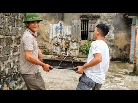 Giao dịch tp sanh Nam Điền tại nhà anh Hùng - Đông Sơn - TP Thanh Hóa