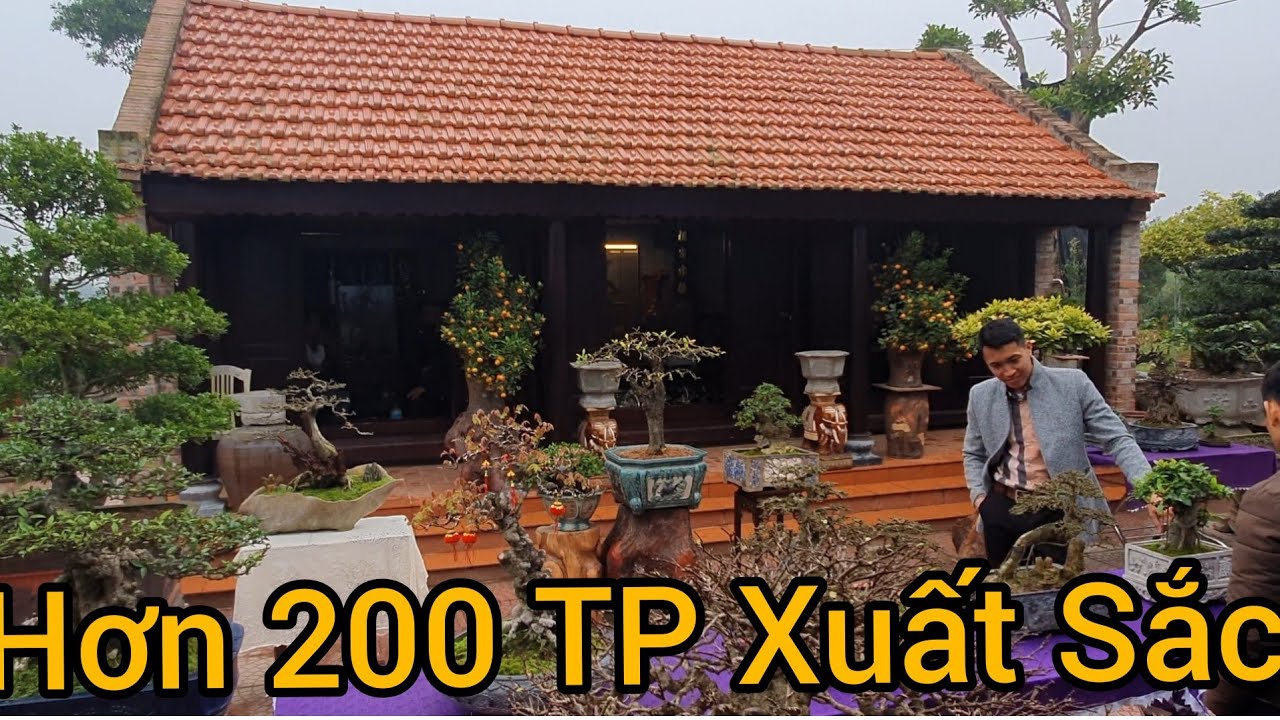 Hơn 200 tác phẩm cây cảnh xuất sắc của các CLB trong tỉnh đã đã có mặt tại NV Hoàng Huy.