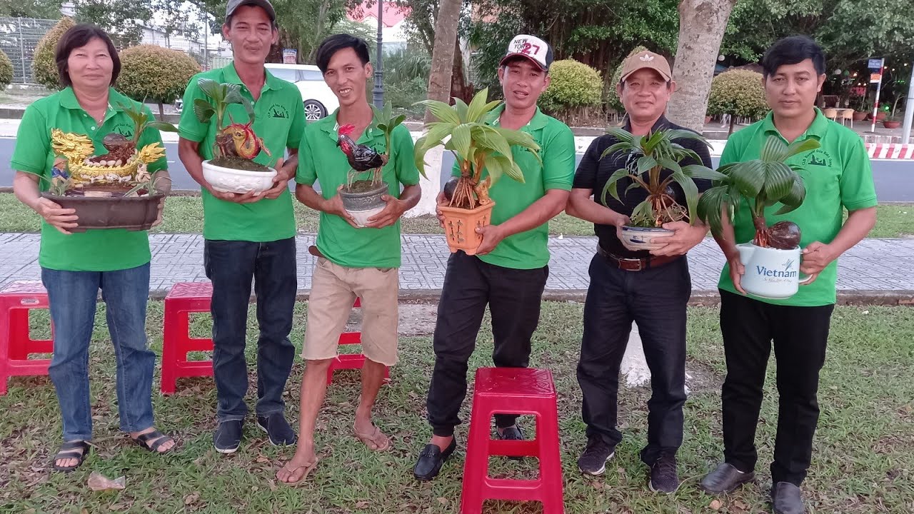 Họp mặt CLB Bonsai Dừa Kiên Giang / coconut bonsai / Bonsai kelapa