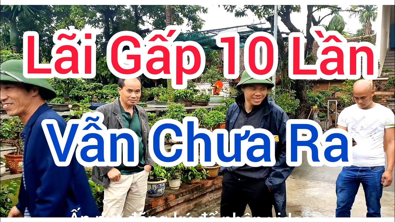 Mua 16 triệu về tạo tác khách cộng gấp 10 lần vẫn không ra.