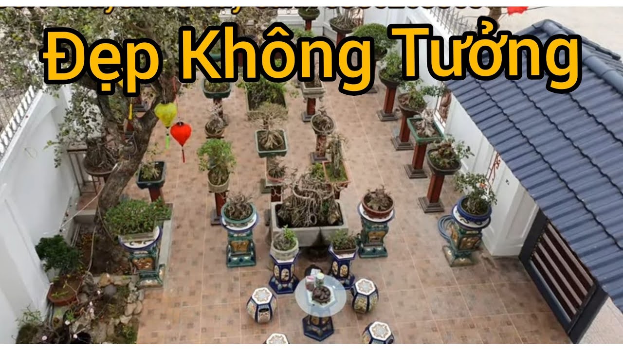 Những tp đẹp như mơ mới được quy tụ về khu biệt thự lộng lẫy mới xây xong.