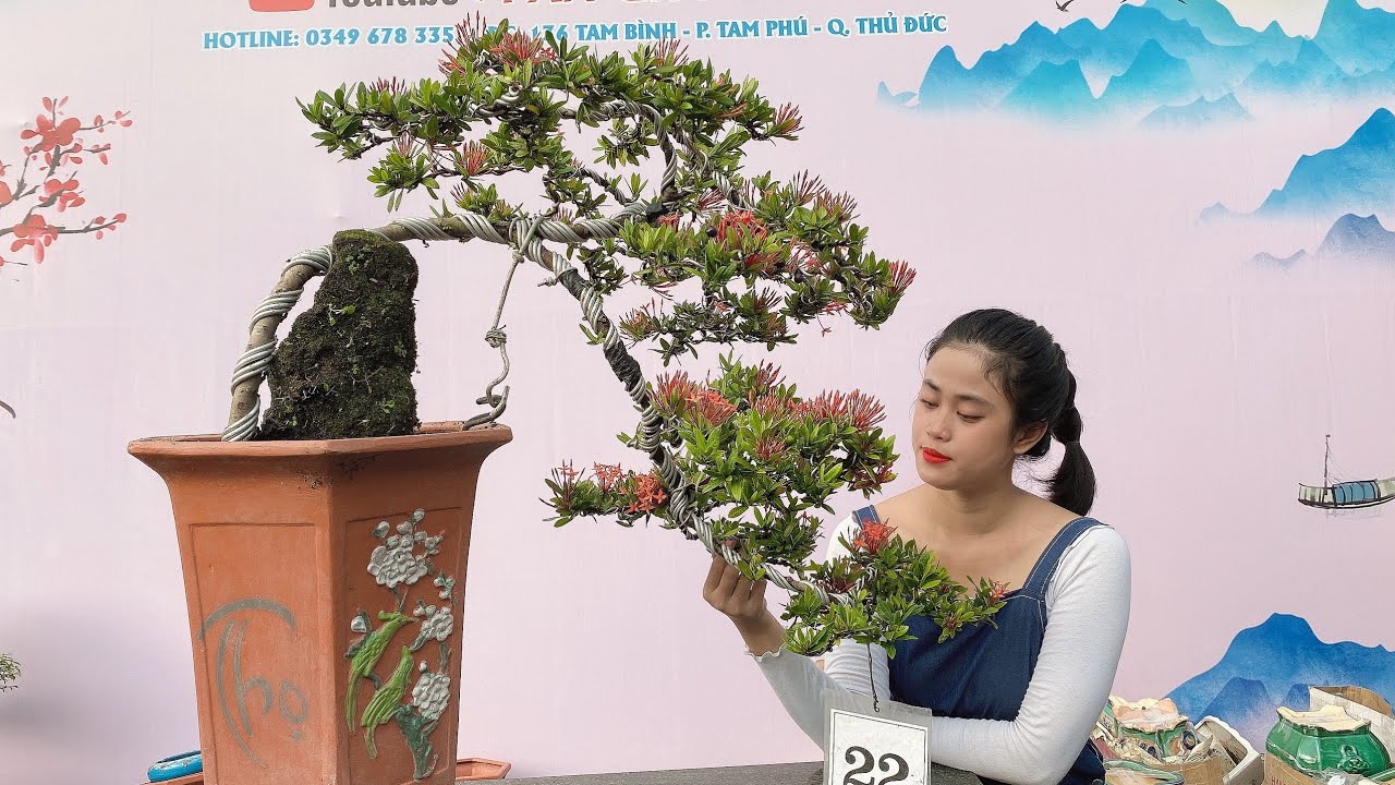 Pan City 212 | Bonsai hoa trái hàng mới nhập về rất dễ thương, duyên dáng