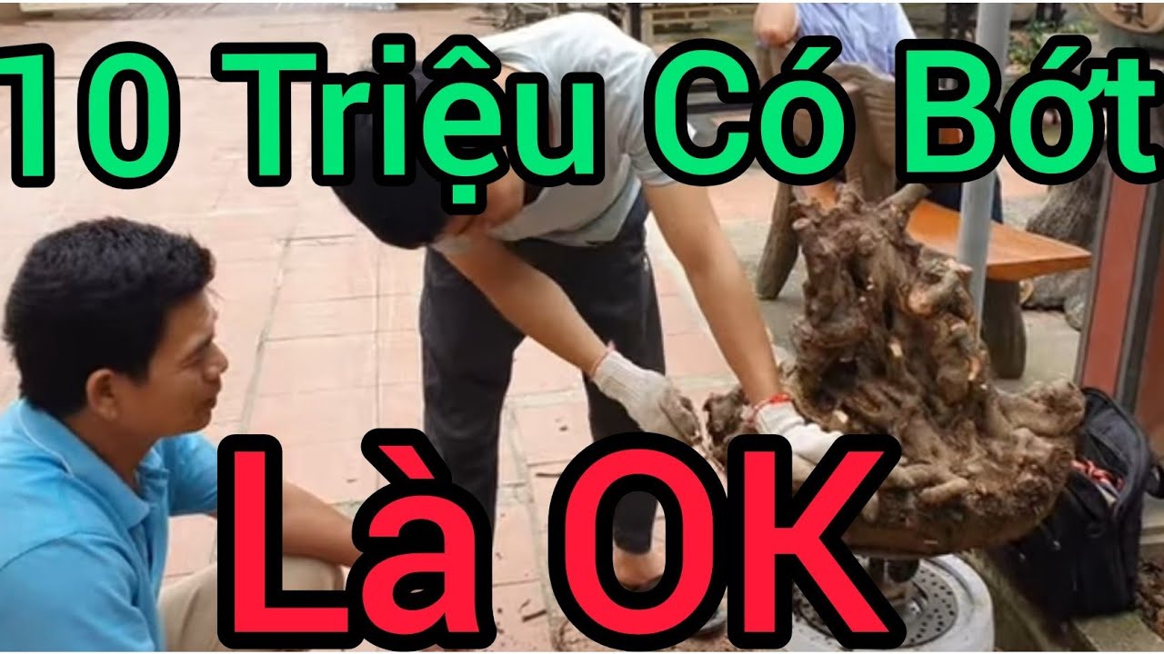 Phôi Sy có giá gần 10 triệu của anh Thuyến Hậu Lộc đang được chỉnh sửa và tạo tác.