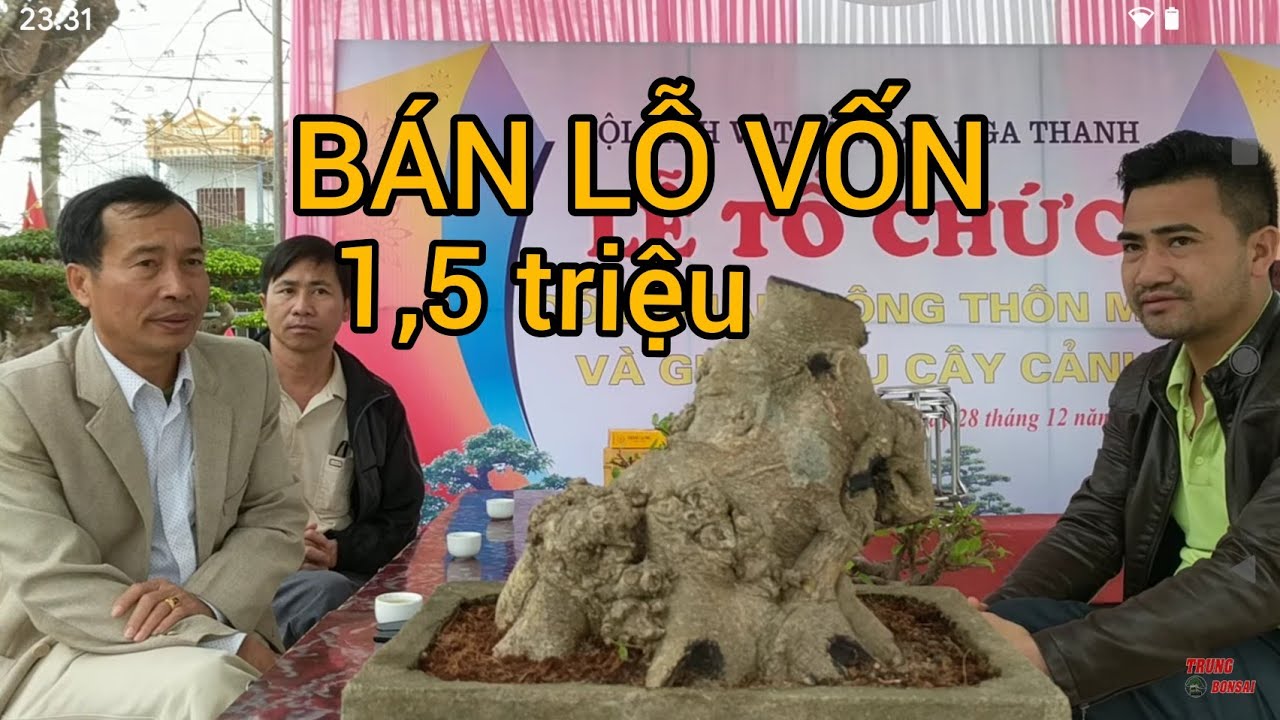 RẺ KHÔNG TƯỞNG phôi nam điền già Bán 1'5 triệu lấy may