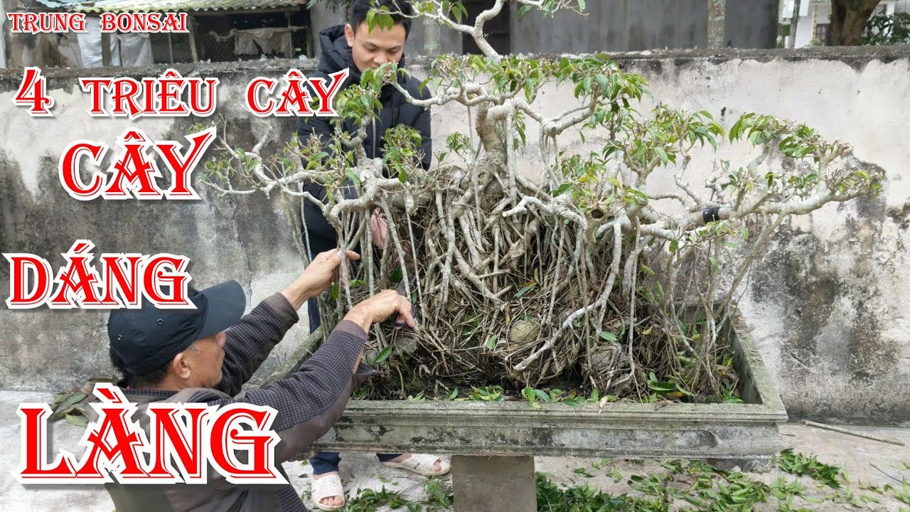 SỐT 17 TRIỆU GIỜ KHÔNG CHƠI BÁN LẠI 4 TRIỆU CHO ANH BẠN TRẺ Được NGHỆ NHÂN CHO VỀ PHÔI không biết