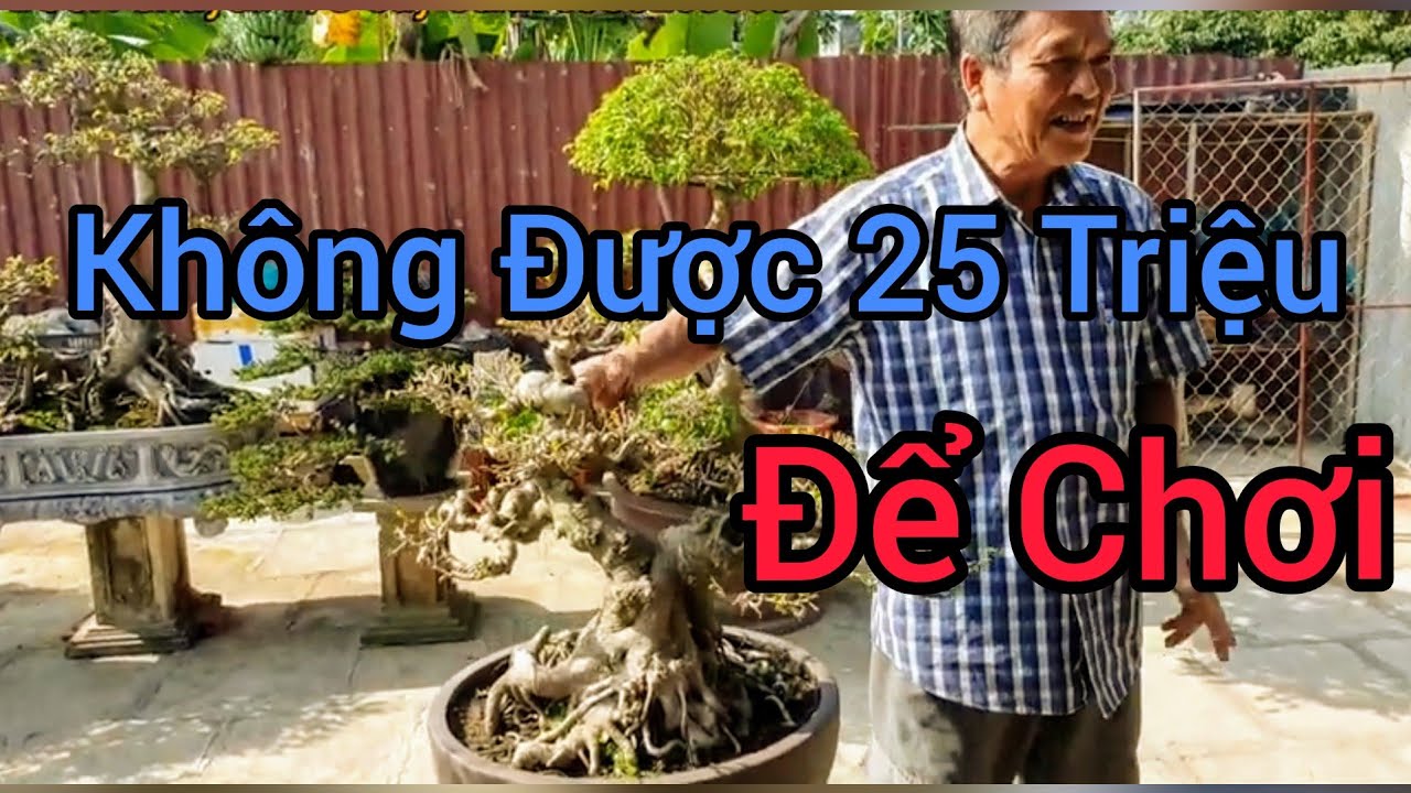 Sanh nghệ thuật k được 25 triệu thì để chơi.