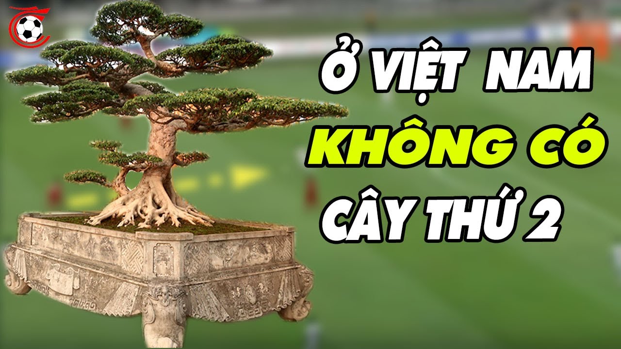 Siêu Phẩm "LONG CHÚA" có 1 - 0 - 2 ở Việt Nam, xem là mê rồi