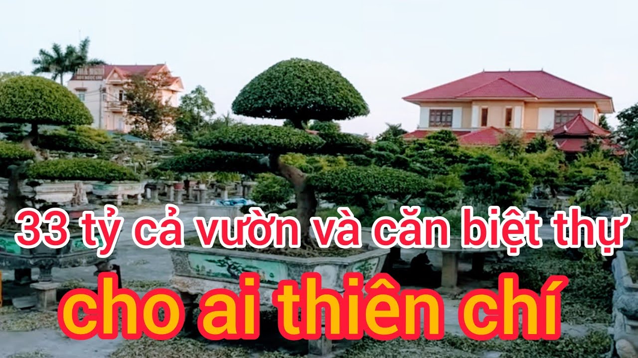 THANH LÝ VƯỜN CÂY KHỦNG VÀ CĂN BIỆT THỰ  33 TỶ CHO AI THIỆN CHÍ TẠI THÀNH PHỐ THANH HÓA