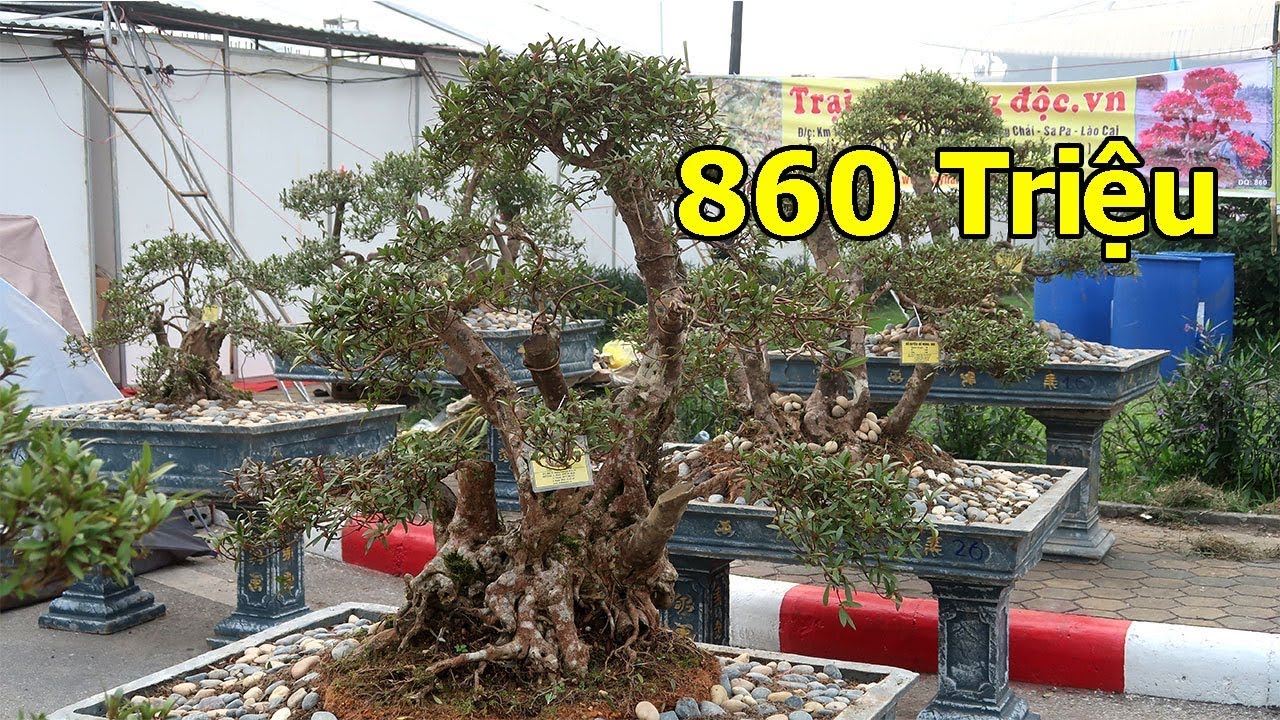 Tác phẩm Đỗ Quyên 860 triệu bày bán tại hội chợ tết 2019