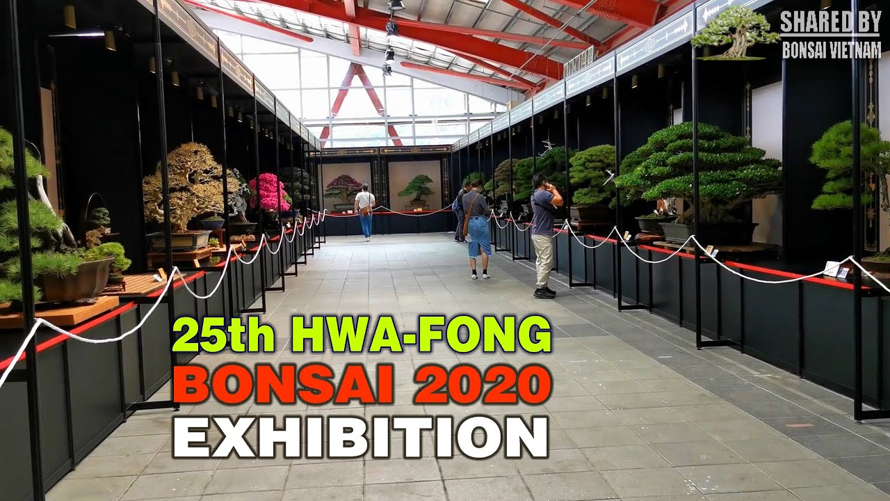 The 25th Hwa-Fong National bonsai exhibition in 2020 | Part #2