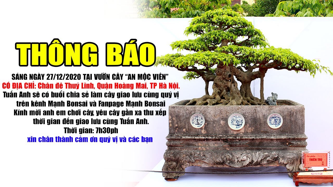 Thông báo giao lưu chia sẻ làm cây cảnh nghệ thuật cùng Tuấn Anh