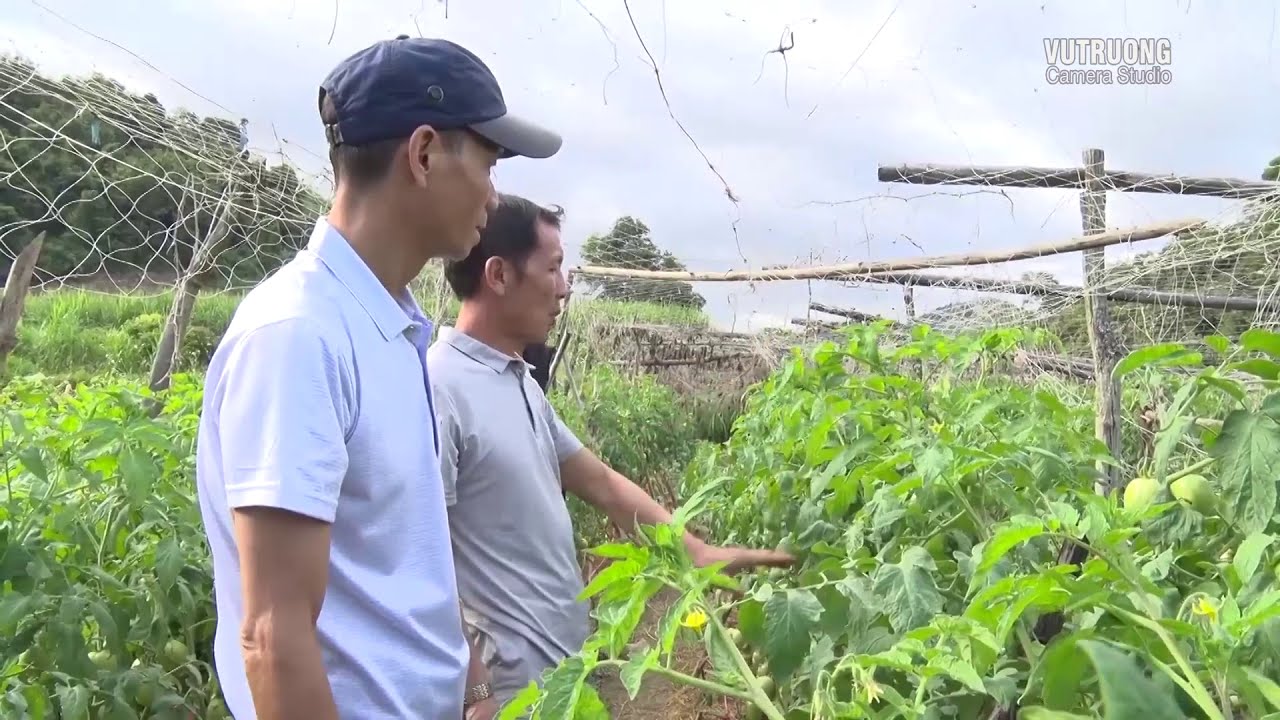 Trăm Cách Làm Giàu Của Người Nông Dân Mai Sơn