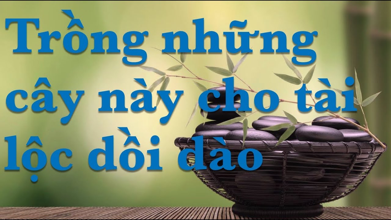 Trồng những cây này cho tài lộc dồi dào