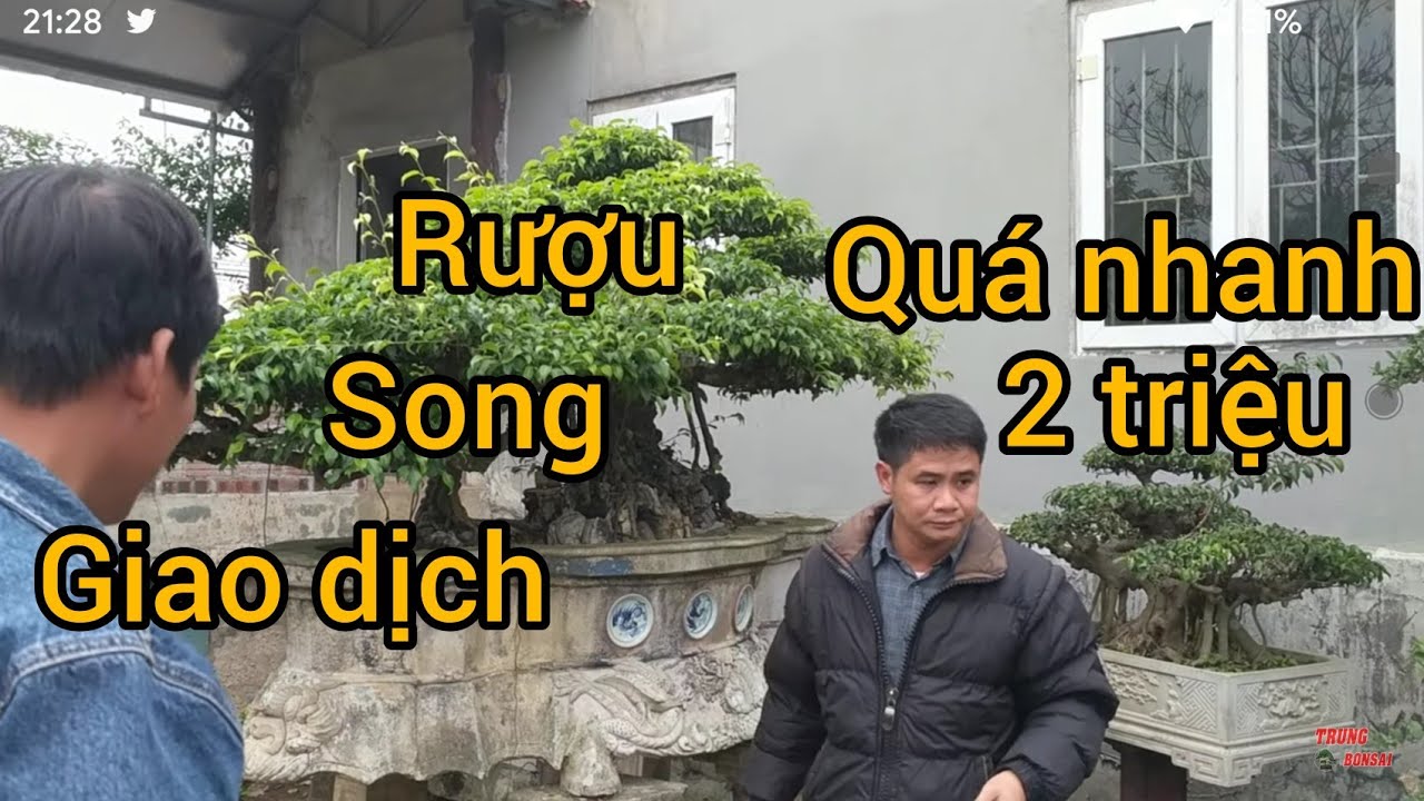 VỪA VÀO VƯỜN GIAO DỊCH LUÔN 1 TÁC PHẨM 2 TRIỆU ANH TIẾN LIÊN LỘC MUA ĐƯỢC TÁC PHẨM QUÁ RẺ VÀ ĐẸP