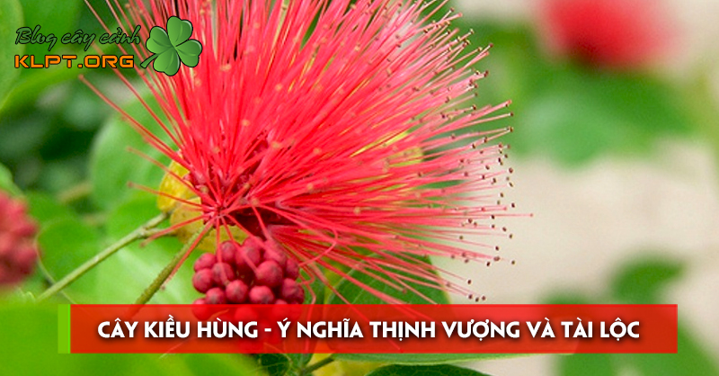 cay-kieu-hung-y-nghia-thinh-vuong-va-tai-loc