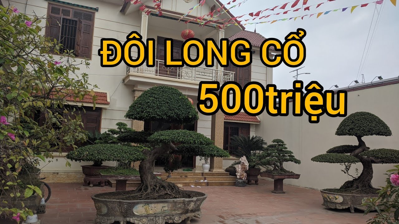 chi 500 triệu SỞ HỮU ĐÔI LONG CỐ NĂM 2012 NGƯỜI ĐẸP YÊN ĐỊNH VÀ KHÔNG GIAN NHÀ HÀNG QUÁ LÝ TƯỞNG