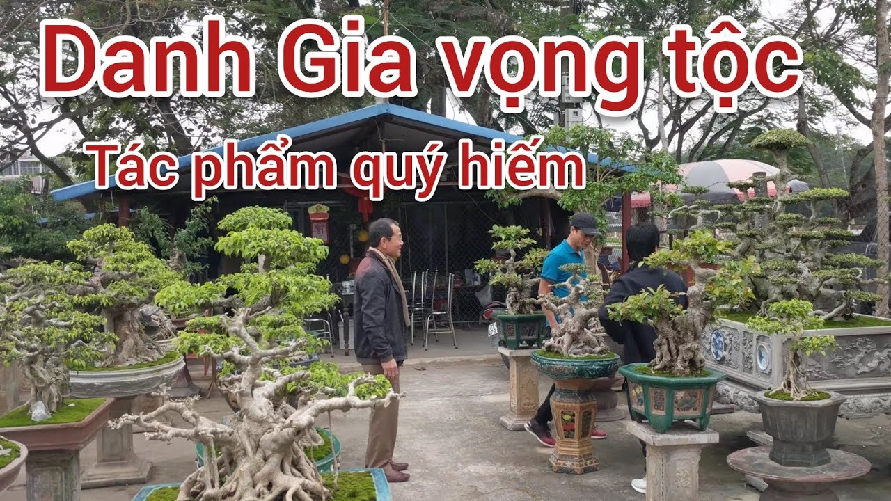 chi tiền Tỷ để sở hữu 4 vườn cây xanh cổ tại NINH BÌNH ANH THÀNH VÀNG tạo thú vui riêng cho