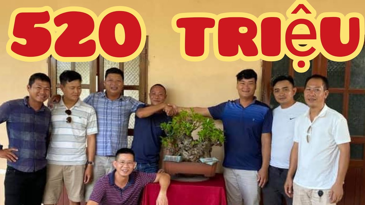 giao dịch lớn trong ngày cụ si 520 triệu giữa sử Tôm và triệu Bùi được rất nhiều anh em chứng kiến