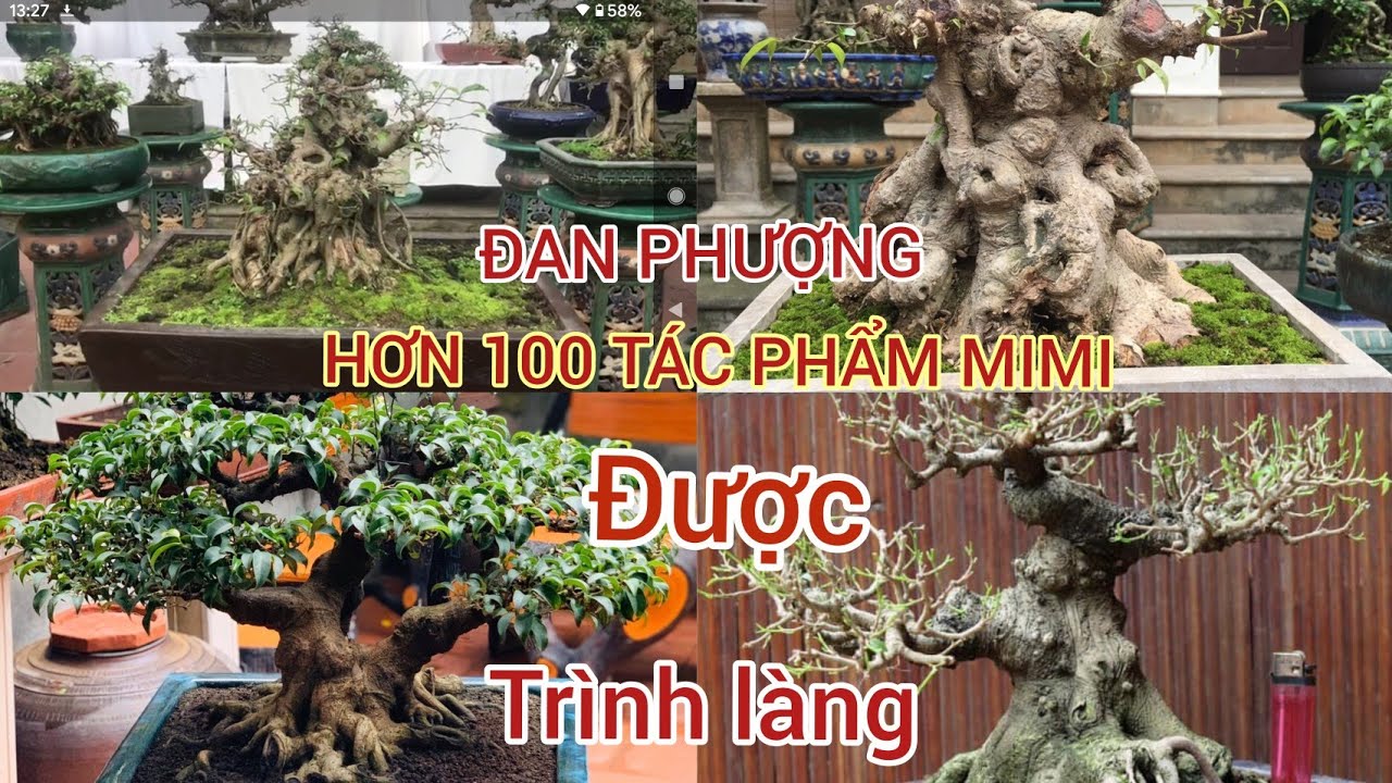 không ngủ được với những tác phẩm Mimi VIP tại buổi giao lưu thường liên 2 tháng 1 lần tại ĐAN PHƯỢN