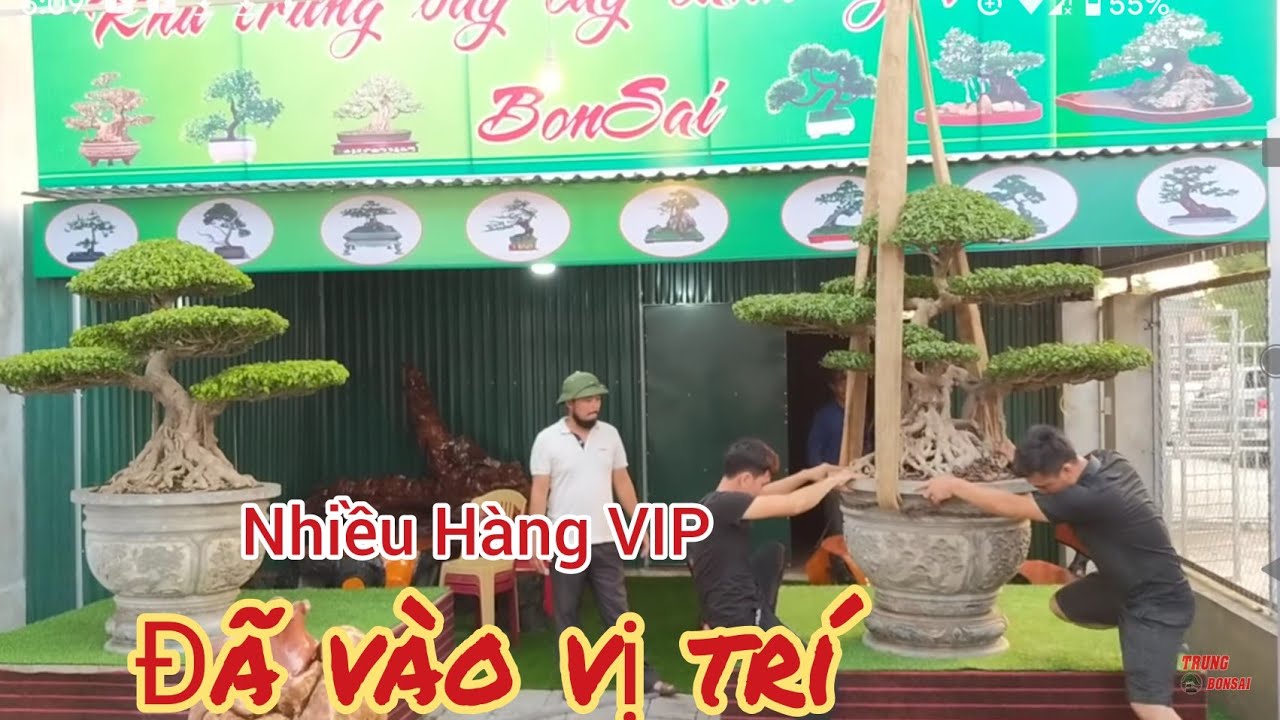 khu trưng bày quá đẳng cấp ngày đầu nhận cây đã có những tác phẩm tiền tỷ trình làng