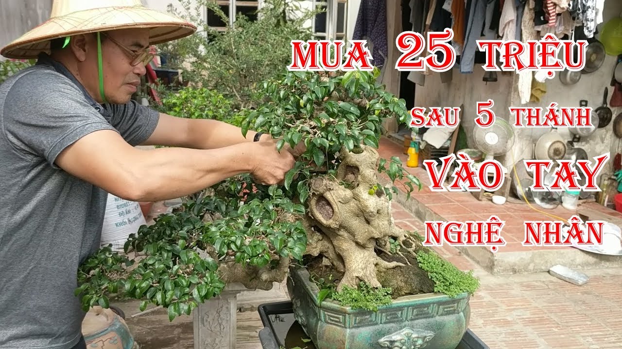 mua 25 triệu sau 5 tháng được nghệ nhân tinh trỉnh cắt sửa lại kết quả đầy bất ngờ