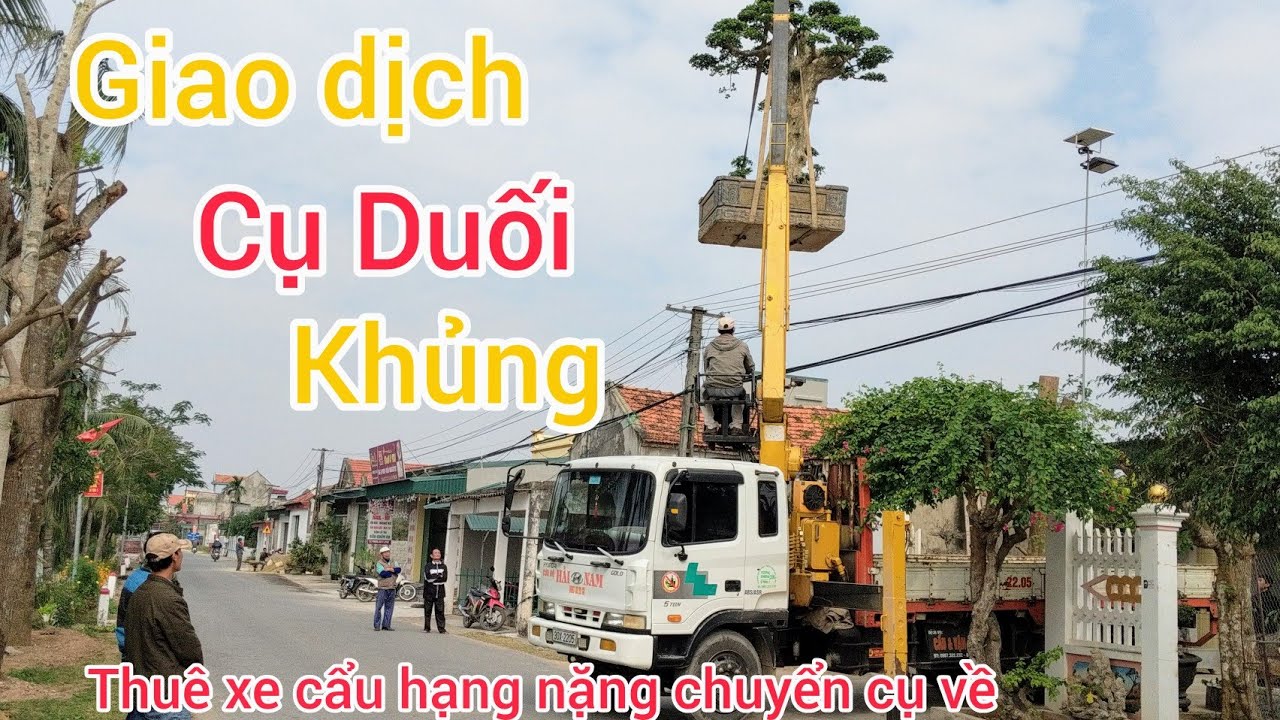 rước cụ duối về vườn cả làng ra xem buổi giao dịch lớn nhất cuối năm tại Nga sơn