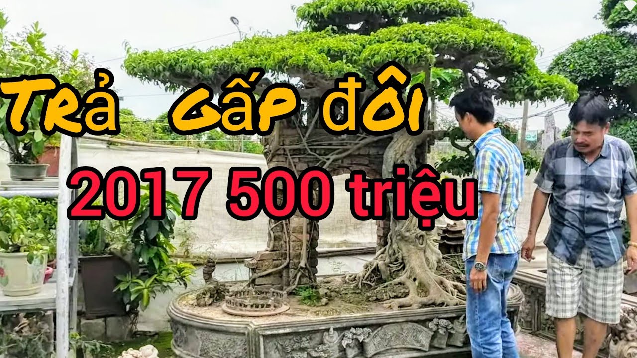 sau 3 năm quay lại nghị khế cộng thêm 500 triệu tác phẩm cổng làng hoà taxi vẫn không đồng ý