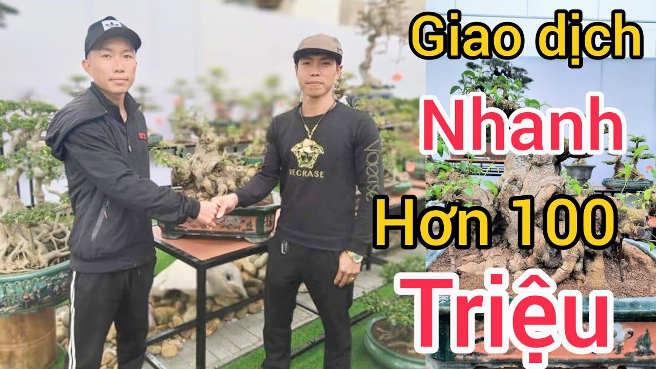 sơn nguyễn giao dịch nhanh với chương phạm phôi quý hơn 100 triệu tại buổi lễ Ra mắt nhà vườn