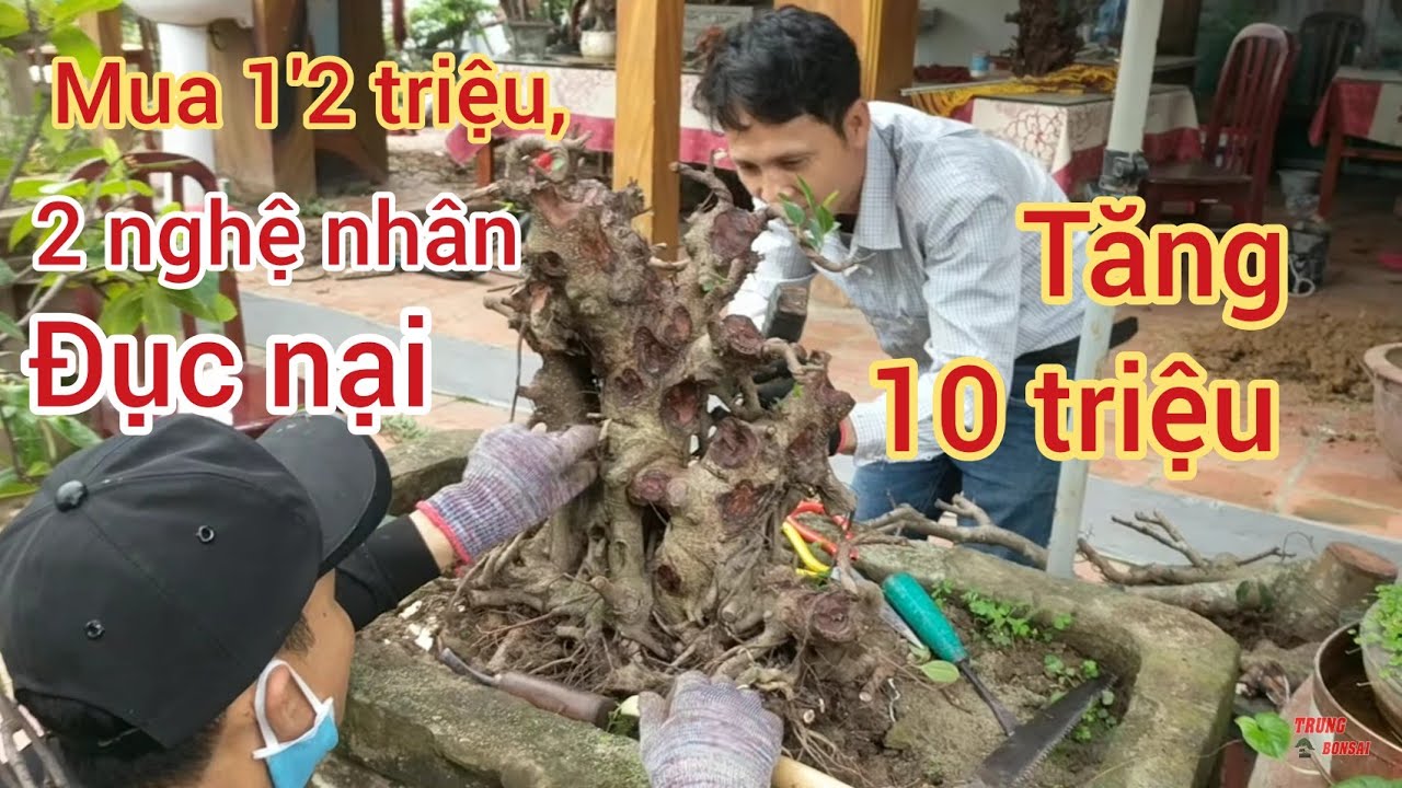 xem 2 nghệ nhân sửa nại tác phẩm mua 1,2 triệu cốt si đẹp lên ngay 10 triệu mà thấy phê luôn