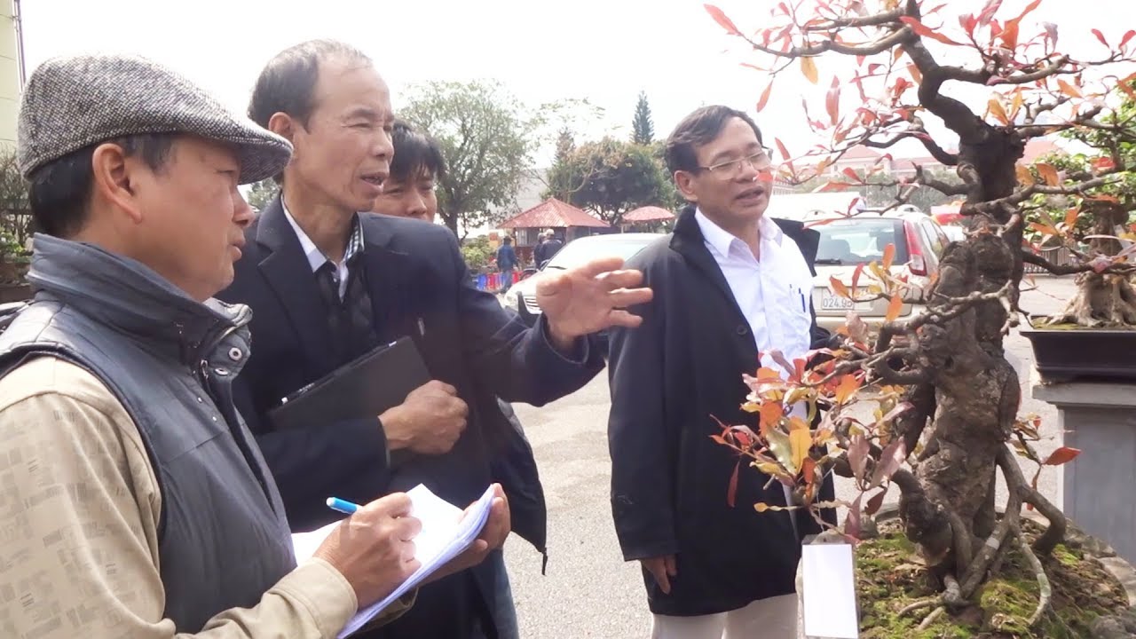 Ban giám khảo chấm điểm các tác phẩm ở triển lãm Bắc Ninh - Scoring bonsai at the bonsai exhibition