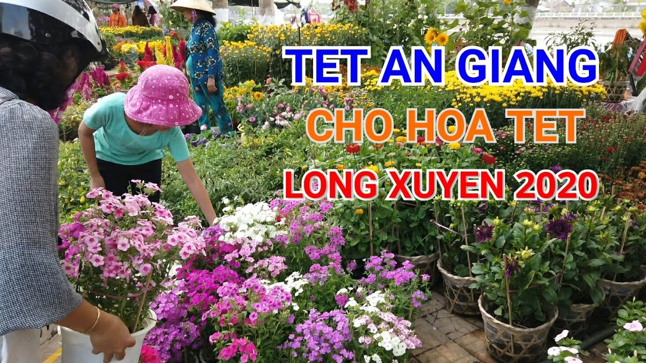 CHỢ TET AN GIANG 2020 - chợ hoa long xuyên an giang chợ hoa ngày tết 2020 | Bonsai miền tây