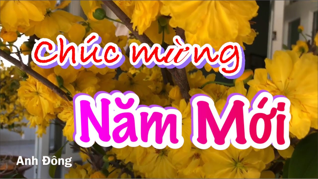 CHÚC MỪNG NĂM MỚI CANH TÝ 2020